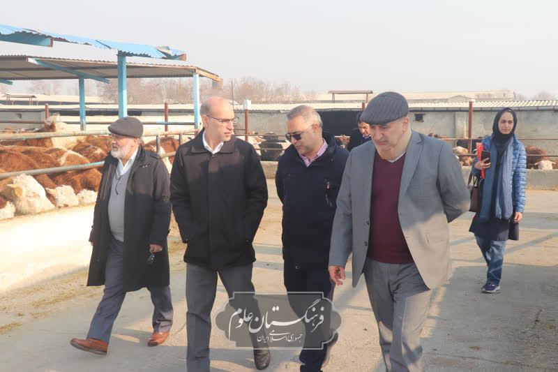 امنیت غذایی 4